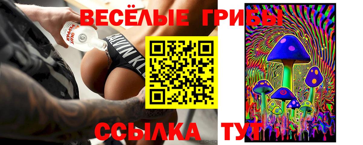 Новомосковск  Галлюциногенные грибы MAGIC MUSHROOMS  Галлюциногенные грибы мухоморы  Вход с VPN 