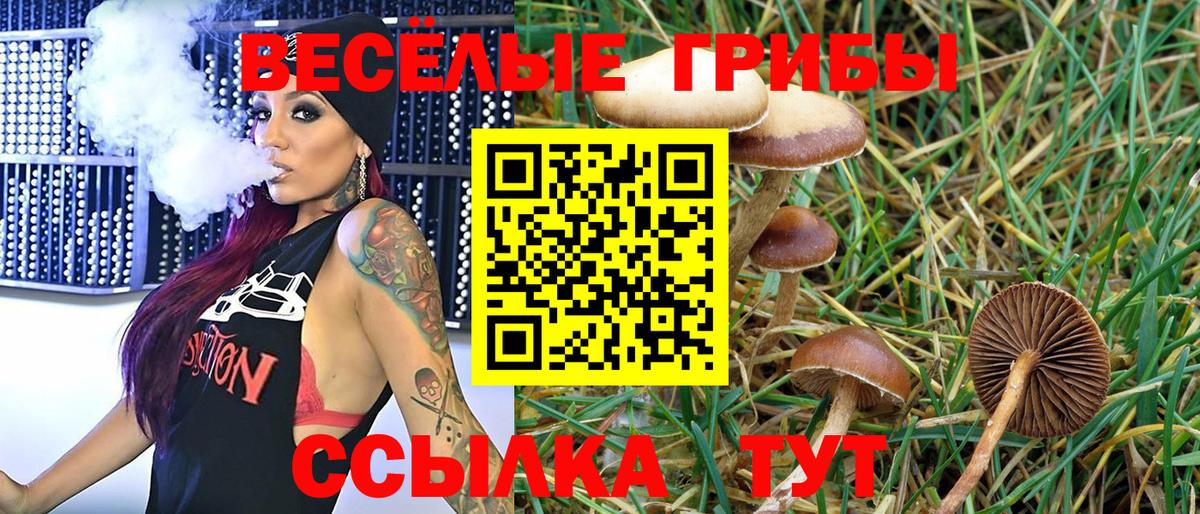 Галлюциногенные грибы MAGIC MUSHROOMS Новомосковск